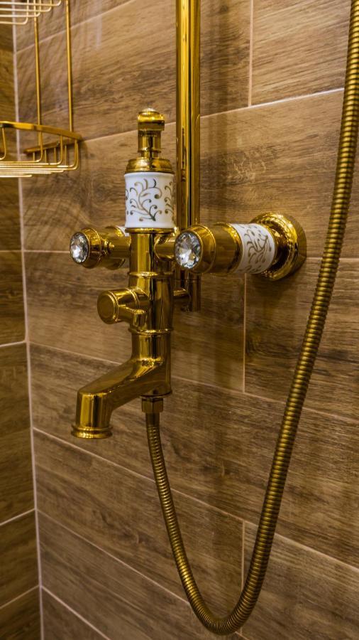Cyborg Flat Petrosani Apartment Ngoại thất bức ảnh