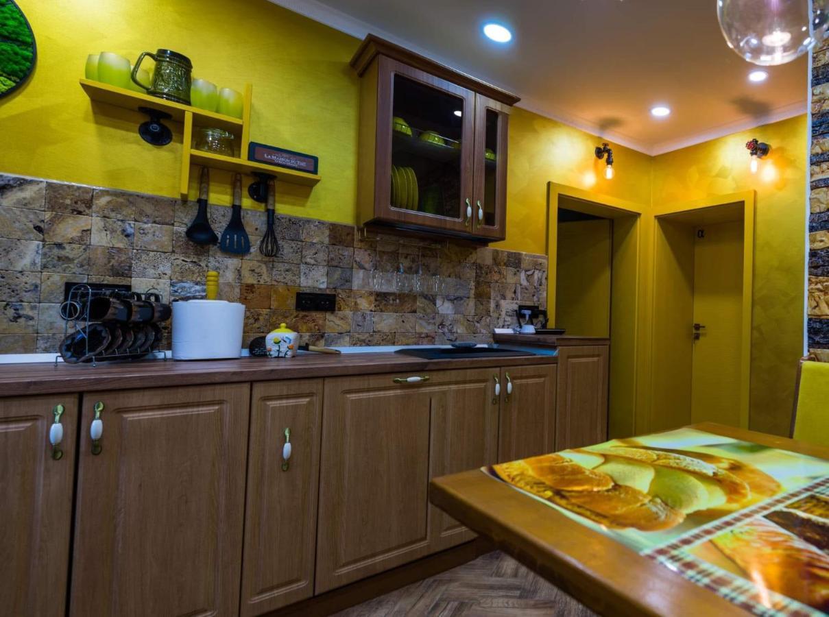 Cyborg Flat Petrosani Apartment Ngoại thất bức ảnh